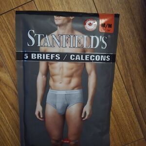 Men's Grey Briefs - Pack of 5